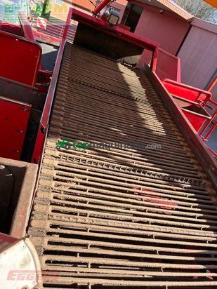 Cosechadora - arrancadora de patata - Grimme - se 260 ub