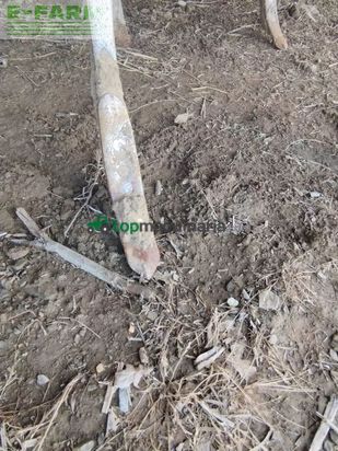 Cultivador -  - outils à dents