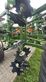 Cultivador - Amazone - cenius 5003-2tx