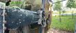 Cabezal - John Deere - 475 Plus