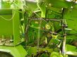 Empacadora gigant - Krone - comprima cv 150 vc combipack