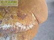 Grada de disco - Kuhn - discolander xm 52