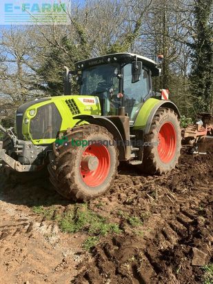 Tractor agrícola - Claas - arion 650 cmatic - stage v
