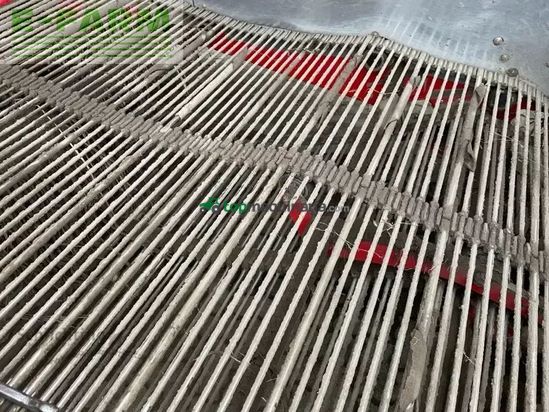 Cosechadora - arrancadora de patata - Grimme - se260 terra