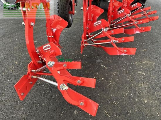 Arado - Maschio - unico m passo 4+ non stop