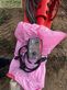 Grada de disco - Kuhn - discolander xm 40 + sh 402