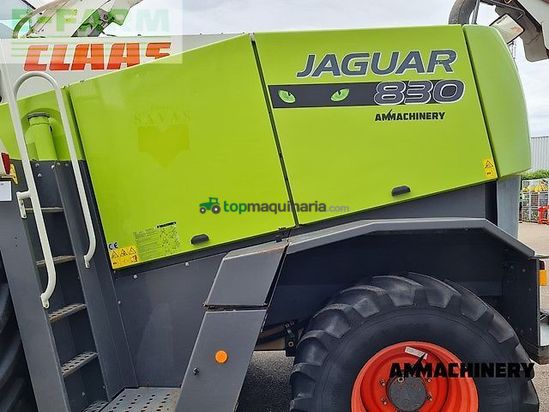 Cosechadora de Cereal - Claas - jaguar 830 profistar