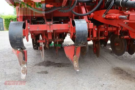 Cosechadora - arrancadora de patata - Grimme - gl 430