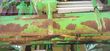 Atomizador - Dammann - anp 5024 classic