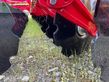 Grada de disco -  - carrier crxt 625