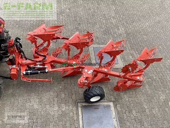 Arado - Maschio - unico m passo 4+