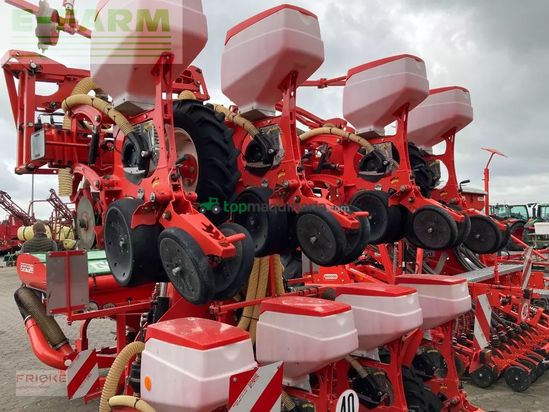 Sembradora monograno mecanica - Maschio - manta 8-reihig