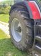 Tractor agrícola - Massey Ferguson - 8s.265 dyna e-power
