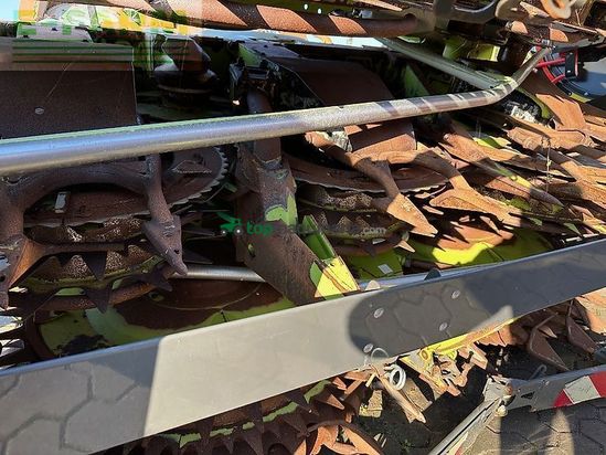 Cosechadora de Cereal - Claas - orbis 900 ac