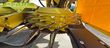 Cabezal - John Deere - 490 Plus