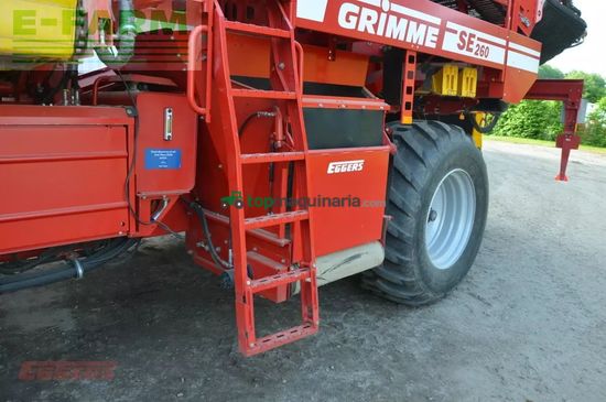 Cosechadora - arrancadora de patata - Grimme - se 260 ub