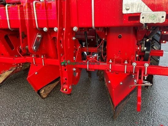 Cosechadora - arrancadora de patata - Grimme - gl 420