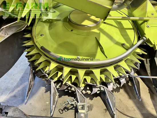 Cosechadora de Cereal - Claas - jaguar 850 speedstar