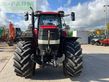 Tractor agrícola - Case IH - puma 240 cvx tractor (st27803)