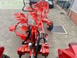 Arado - Maschio - unico m passo 4+