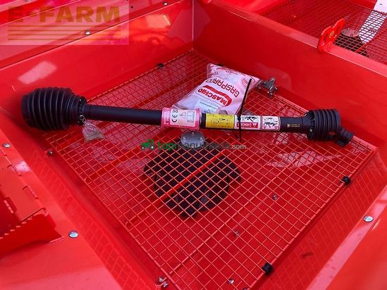 Esparcidor - Maschio - primo ew3