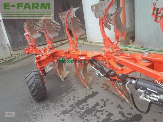 Arado - Maschio - unico m passo 4