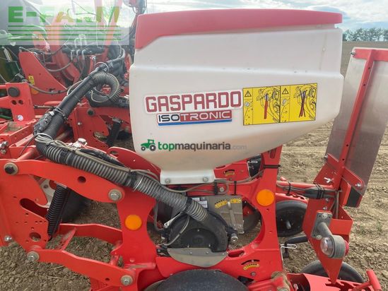 Sembradora monograno mecanica - Gaspardo - magica 6r - isotronic
