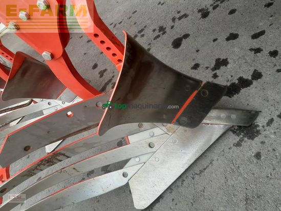 Arado - Maschio - unico m passo 4