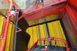 Cosechadora - arrancadora de patata - Grimme - se 260 ub