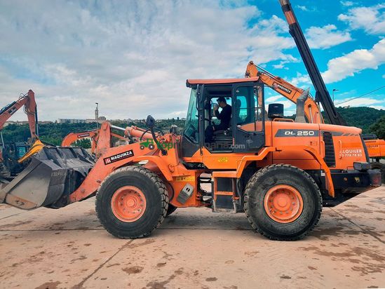 Palas cargadora DOOSAN DL250-3