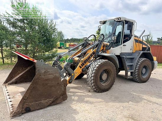 Minicargadora - Liebherr - 524