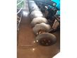 Cultivador - Rabe - sunbird-pr-5m