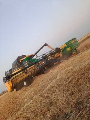 Cabezal New Holland Varifeed plus 