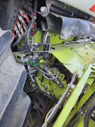 Cosechadora picadora  Claas - JAGUAR 980
