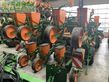 Sembradora monograno mecanica - Amazone - ed 602-k