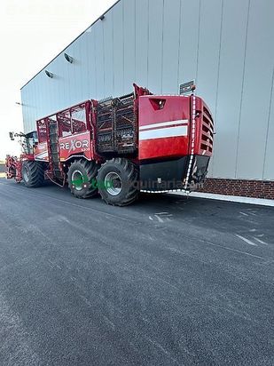 Cosechadora de Cereal - Grimme - rexor 6300 platinum