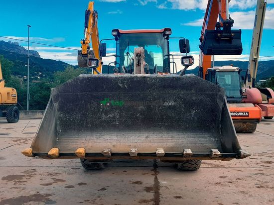 Palas cargadora DOOSAN DL250-3