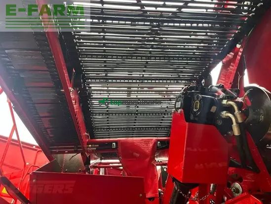 Cosechadora - arrancadora de patata - Grimme - evo 290 clodsep