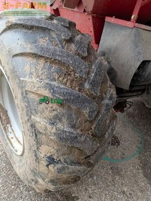 Cosechadora - arrancadora de patata - Grimme - se 75-55 ub