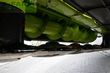 Cortacésped manual - Claas - disco 9300 direct swather