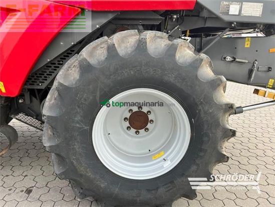 Cosechadora de Cereal - Massey Ferguson - beta 7370 + schneidwerk 6,80m