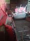Cosechadora - arrancadora de patata - Grimme - se 75 - 40 ub