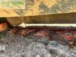 Cortacésped manual - Kubota - faucheuse dm 3040