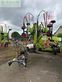 Henificador - Claas - liner 2700 trend