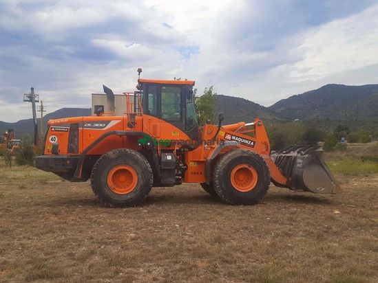 Palas cargadora DOOSAN DL300 L/AUX