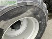 Cinta transportadora de forraje - Krone - rx 430 gl // tt 301-30