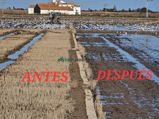 ROTOVATOR PLEGABLE TERRAMAR ESPECIAL FANGUEO