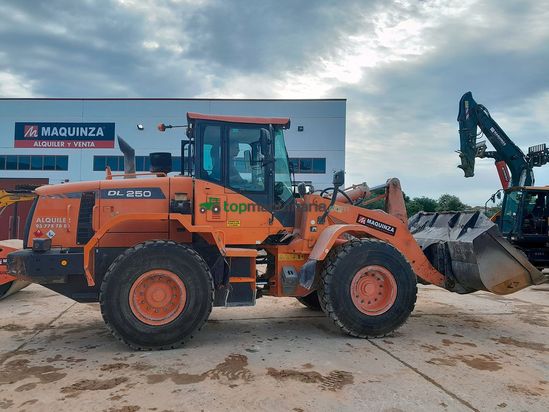 Palas cargadora DOOSAN DL250-3