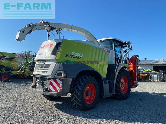 Cosechadora de Cereal - Claas - jaguar 950 typ 497