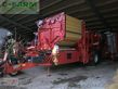 Cosechadora - arrancadora de patata - Grimme - evo 260 ub nonstop